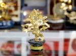 Chậu cây tài lộc dát vàng 24k , cây tiền tài làm quà tặng cao cấp