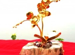 Chậu Lan Hồ Điệp dát vàng 24k làm quà tặng cao cấp