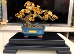 Mô hình cây hoa mai ngũ phúc bonsai mai vàng đẹp tinh xảo