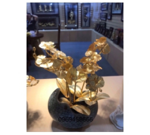 Cây Hoa Lan Bằng Vàng 24K cao cấp