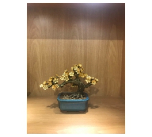 Cây hoa mai ngũ phúc bằng vàng, quà tặng sang trọng và giá trị