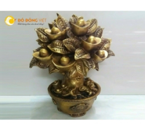 Cây tiền, cây tiền vàng bằng đồng