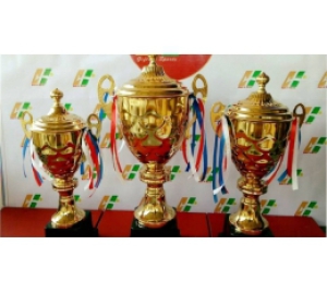 Nhận Đặt Làm Cúp Bóng Đá