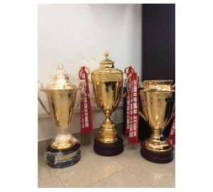 Đồ đồng Việt nhận làm cúp đồng uy tín chất lượng cao