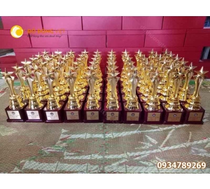 Công ty làm cúp vinh danh bằng đồng mạ vang 