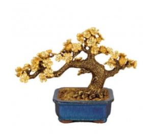 Quà Tặng Chậu Mai Dát Vàng 24K 