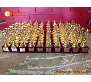 Sản xuất cúp vinh danh cúp trao giải 30cm 