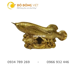 Cá rồng bằng đồng