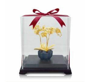 CHẬU HOA LAN MẠ VÀNG 24K ĐẸP TINH XẢO, SANG TRỌNG 