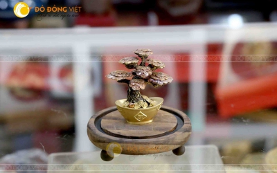 Chậu cây tùng làm quà tặng, chậu cây bonsai giá rẻ