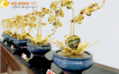 Chậu lan hồ điệp vàng 24k làm quà tặng sếp nữ 