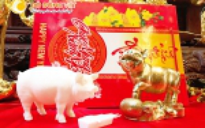 Những mẫu tượng heo phong thủy mạ vàng đẹp