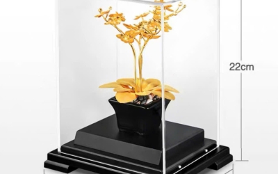 CHẬU LAN HỒ ĐIỆP MẠ VÀNG 24K TẶNG CHO SẾP MANG NHIỀU Ý NGHĨA